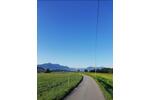 Wohnung idyllische Lage auf Bauernhof, Bergblick, Nähe Chiemsee