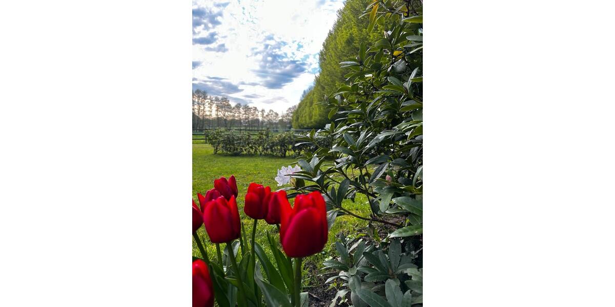 Einfamilienhaus Ritterhude - 3 Zimmer, 100 m&sup2;, 1.450&euro; | Angebot:25919591