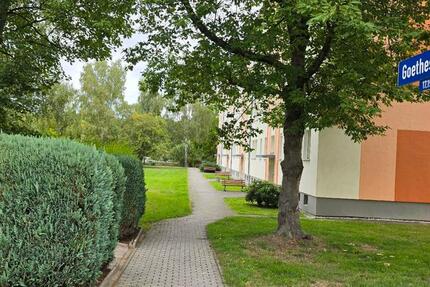 Wohnung Bad Lausick - 2 Zimmer, 46 m&sup2;, 390&euro; | Angebot:27544733