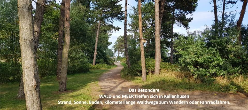 Etagenwohnung Kellenhusen (Ostsee) - 2 Zimmer, 69 m&sup2;, 910&euro; | Angebot:26579971