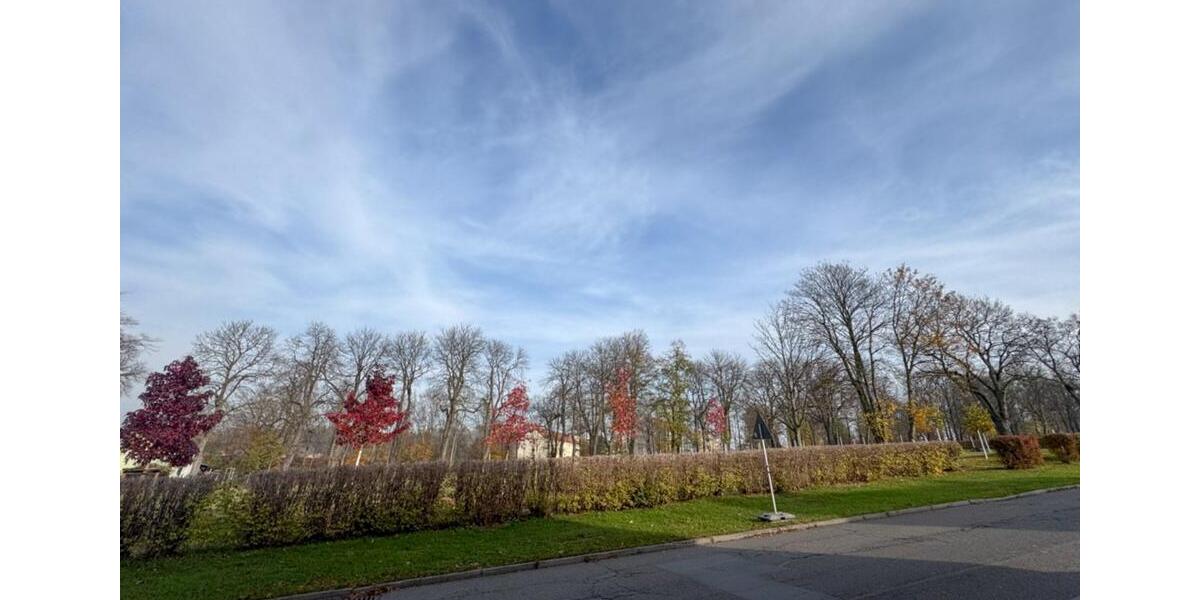 Erdgeschoßwohnung Werdau - 2 Zimmer, 41 m&sup2;, 220&euro; | Angebot:22269557