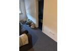 Wohnen auf Zeit Landau in der Pfalz - 32 Zimmer, 100 m&sup2;, 500&euro; | Angebot:26613053