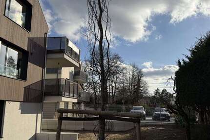 Wohnung zum Mieten in Darmstadt 2.480 € 128 m²