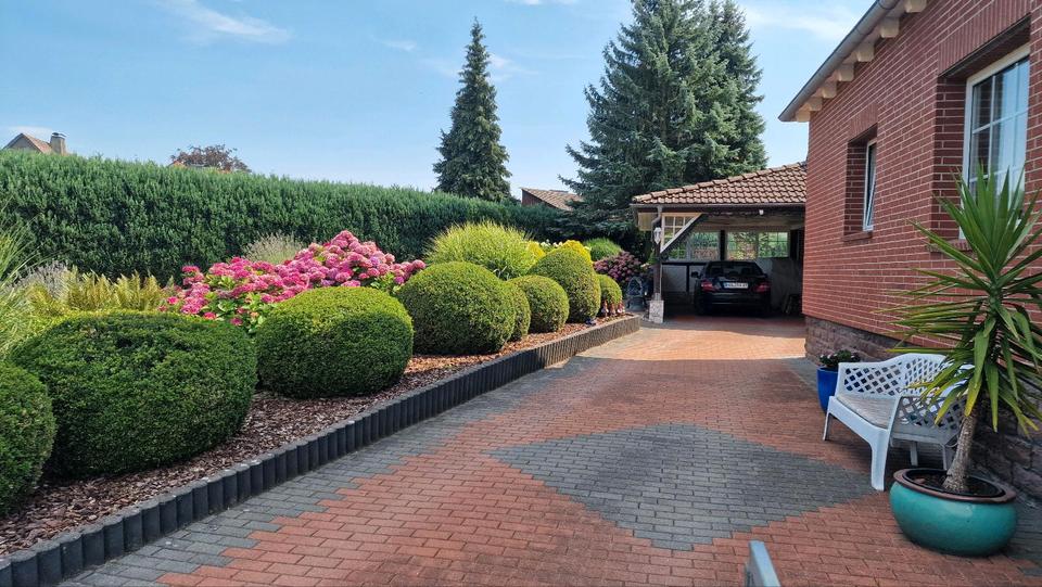 Einfamilienhaus Holzminden - 12 Zimmer, 320 m&sup2;, 2.250&euro; | Angebot:26037589