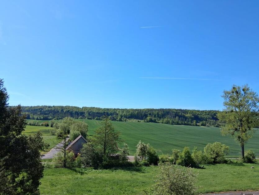 Wohnung mit Balkon und Blick ins Grüne