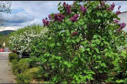 Wohnung Eppstein - 3.5 Zimmer, 93 m&sup2;, 1.023&euro; | Angebot:25126113