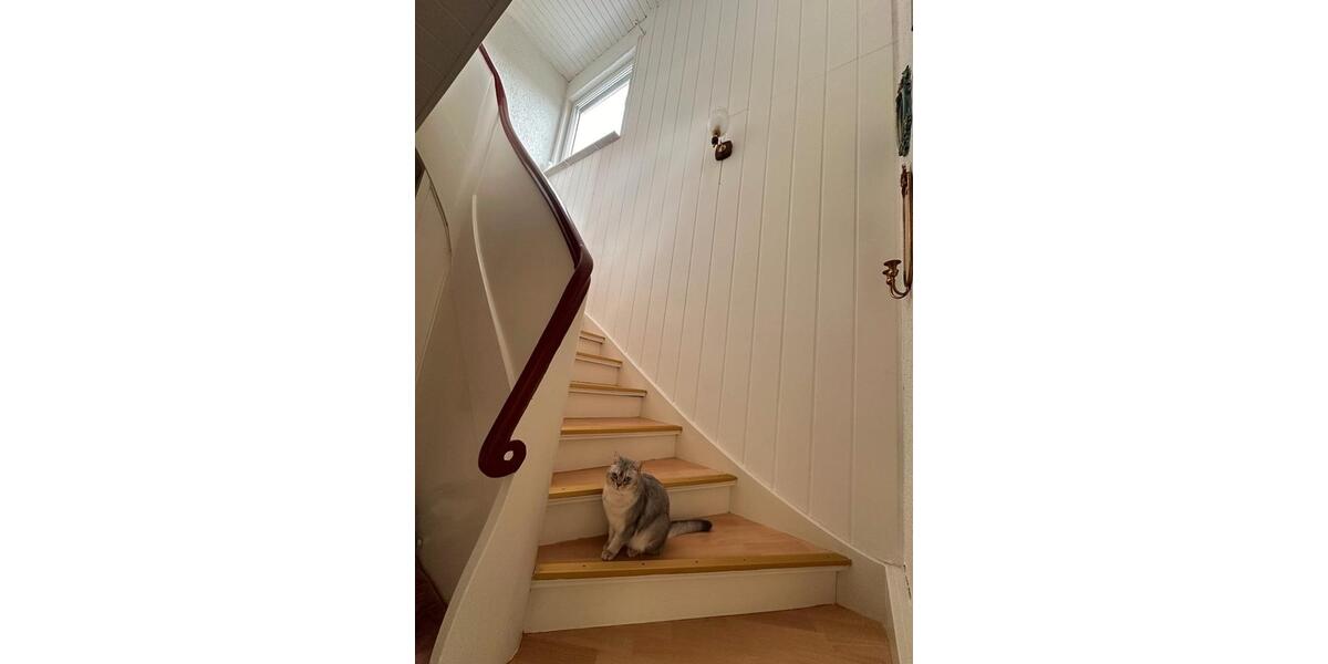 Etagenwohnung Braunfels - 4 Zimmer, 92 m&sup2;, 900&euro; | Angebot:26611211