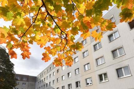 Wohnung Lugau/Erzgebirge Erzgebirge - 3 Zimmer, 58 m&sup2;, 330&euro; | Angebot:23432211