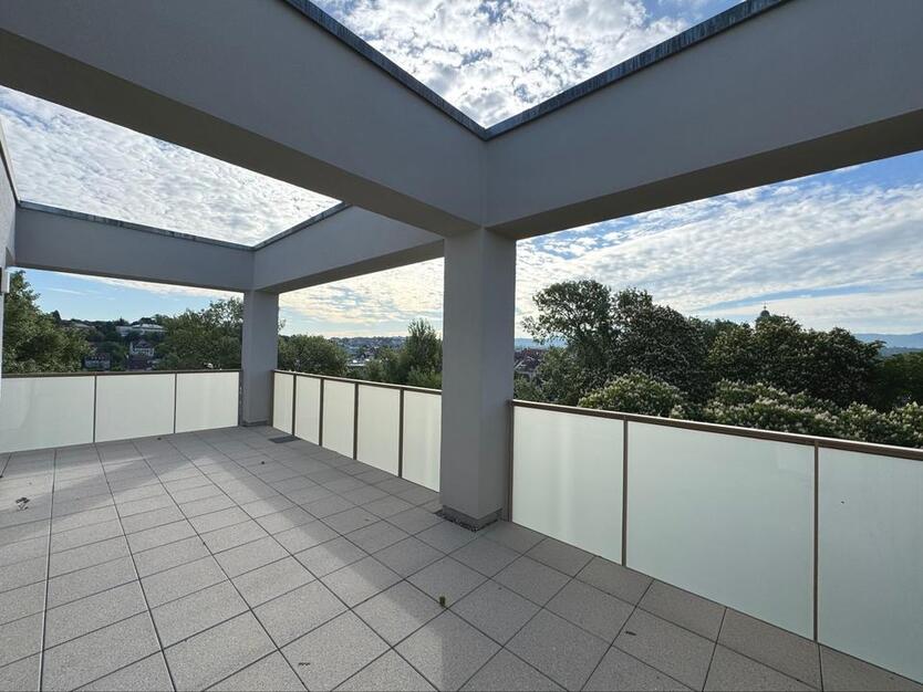 Über den Bäumen mit Panormablick