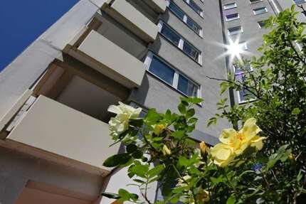 Wohnung Kassel Fasanenhof - 2 Zimmer, 45 m&sup2;, 392&euro; | Angebot:26577394