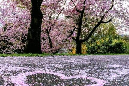 Wohnung Herford - 5 Zimmer, 200 m&sup2;, 2.000&euro; | Angebot:25439050