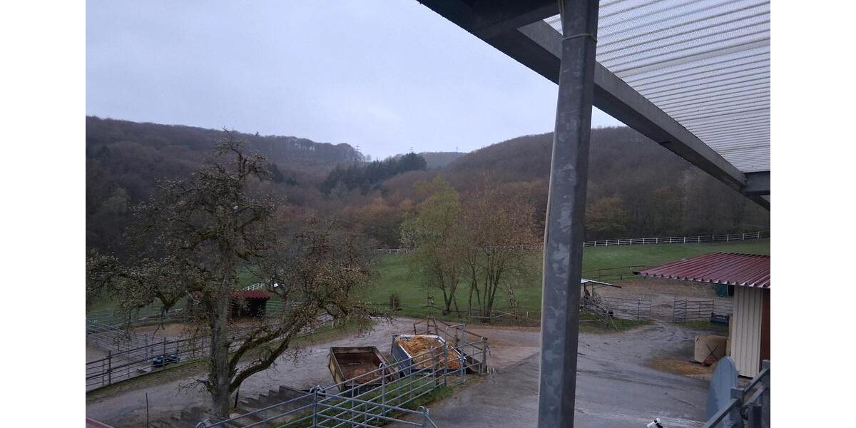 Etagenwohnung Boppard - 3 Zimmer, 90 m&sup2;, 1.000&euro; | Angebot:25940506