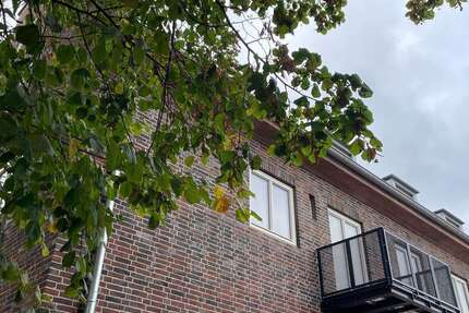 Wohnung zum Mieten in Gransee 892 € 81.1 m² 3 zimmer