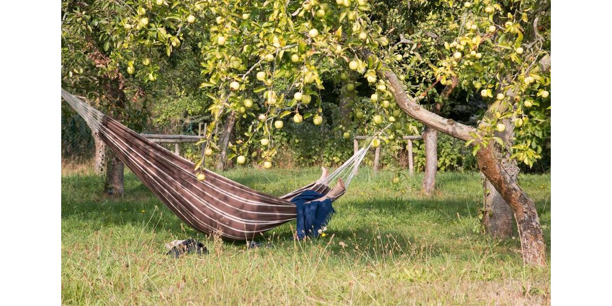 Wohnen auf Zeit Pritzwalk - 4 Zimmer, 130 m&sup2;, 400&euro; | Angebot:23759114