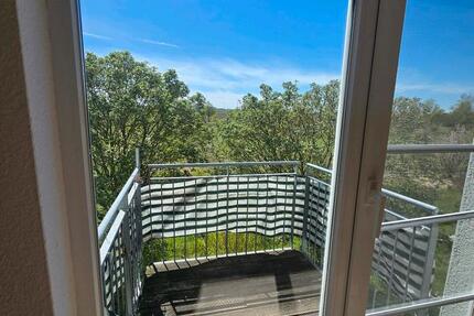 Wohnung Burg - 1 Zimmer, 42 m&sup2;, 305&euro; | Angebot:26355966