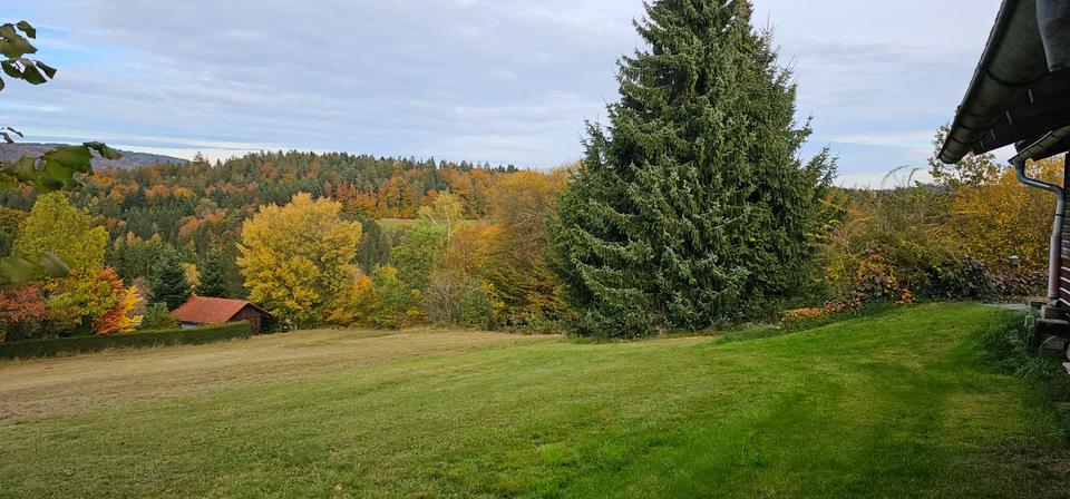 Bauernhaus, Landhaus Zenting - 8 Zimmer, 235 m&sup2;, 1.820&euro; | Angebot:25054472