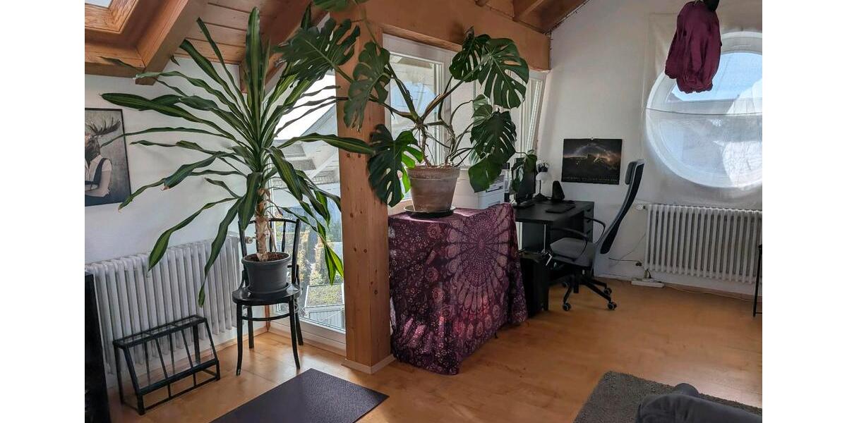 Maisonettenwohnung zur Untermiete (für 12 Monate) frei 2 zimmer