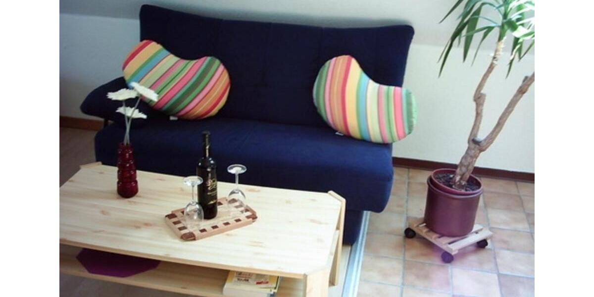 Wohnen auf Zeit Münster Münster-Ost - 1 Zimmer, 35 m&sup2;, 1.000&euro; | Angebot:24374846