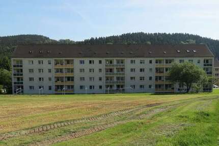 Wohnung Auerbach - 1 Zimmer, 35 m&sup2;, 158&euro; | Angebot:16549720