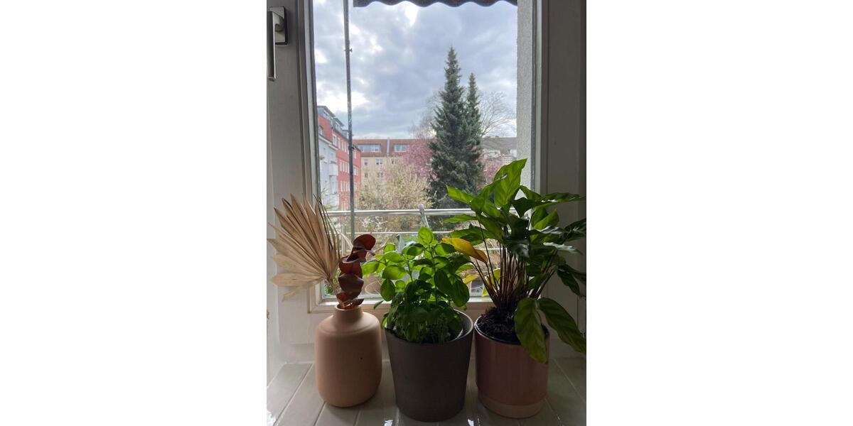 Wohnen auf Zeit Köln Ehrenfeld - 3 Zimmer, 92 m&sup2;, 2.200&euro; | Angebot:26005977