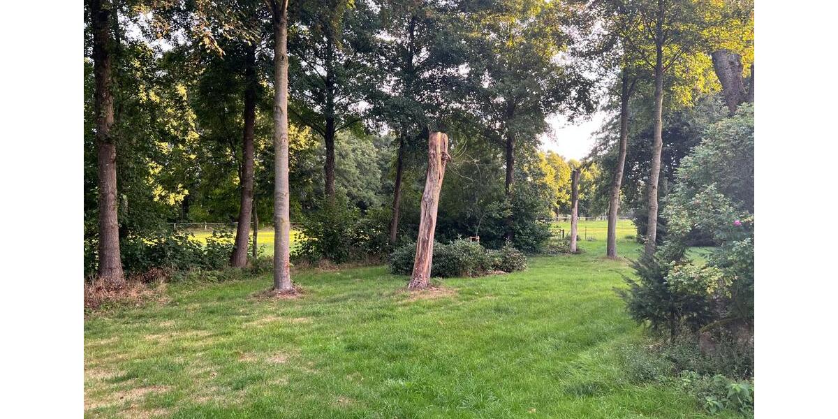 Gewerbeobjekt Walsrode - 1.000&euro; | Angebot:24794785