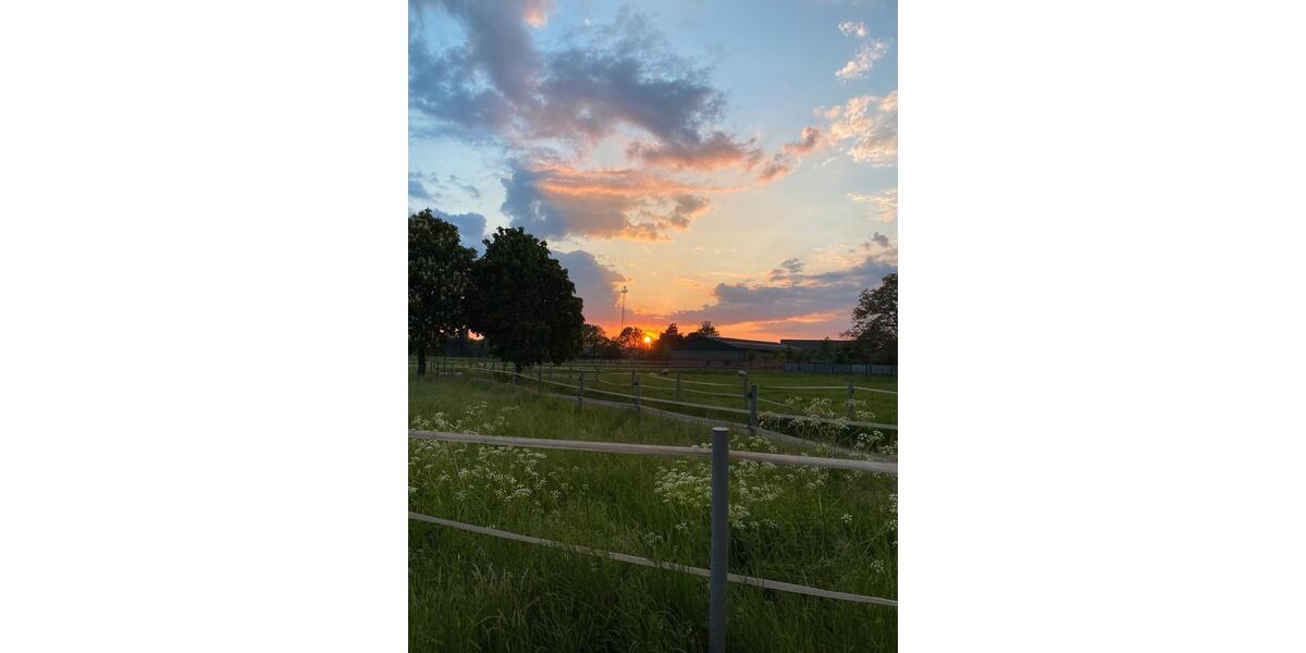 Erstbezug nach Sanierung HünxeDrevenack 3 zimmer