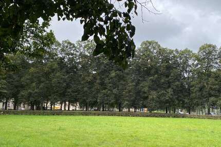 Wohnung zum Mieten in Dresden 285 € 28.55 m² 1 zimmer