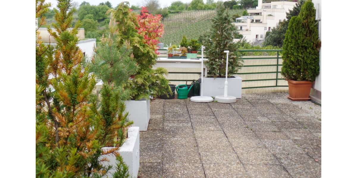 moderne 3 Zimmer Penthouse-Wohnung ab 1.4. zum Mieten 3 zimmer