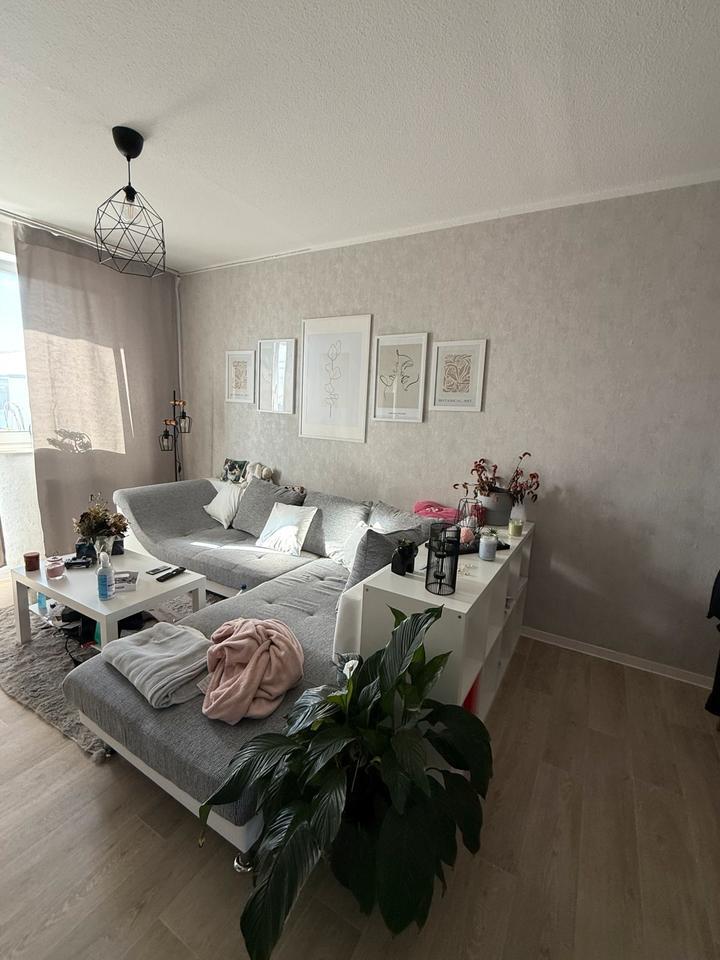 3 RaumWohnung