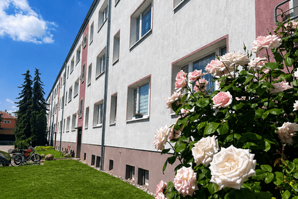 Wohnung Beilrode - 3 Zimmer, 60 m&sup2;, 330&euro; | Angebot:26957794
