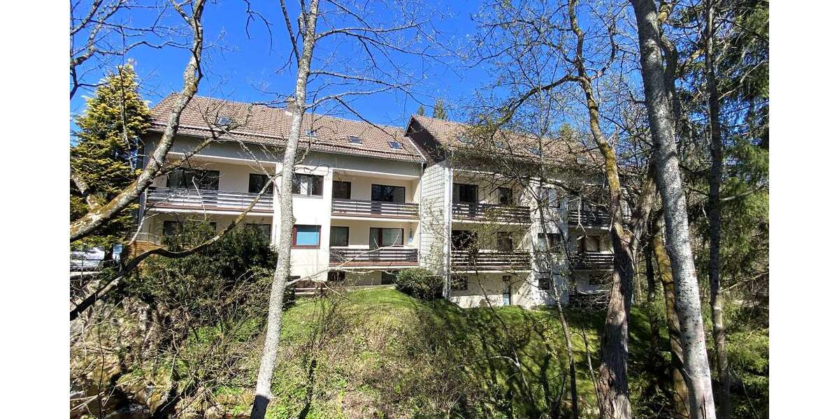 Etagenwohnung Braunlage - 1 Zimmer, 35 m&sup2;, 300&euro; | Angebot:26455717