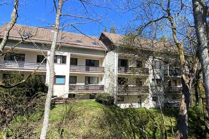 Wohnung Braunlage - 1 Zimmer, 35 m&sup2;, 300&euro; | Angebot:26455717