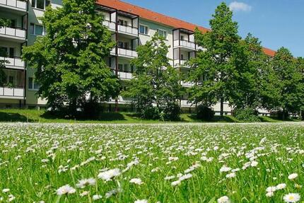 Wohnung Salzwedel - 3 Zimmer, 59 m&sup2;, 395&euro; | Angebot:25361234