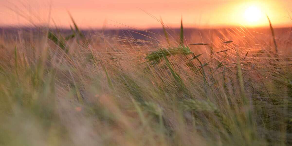 Wohnung zum Mieten in Schwedt 375 € 58 m² 3 zimmer