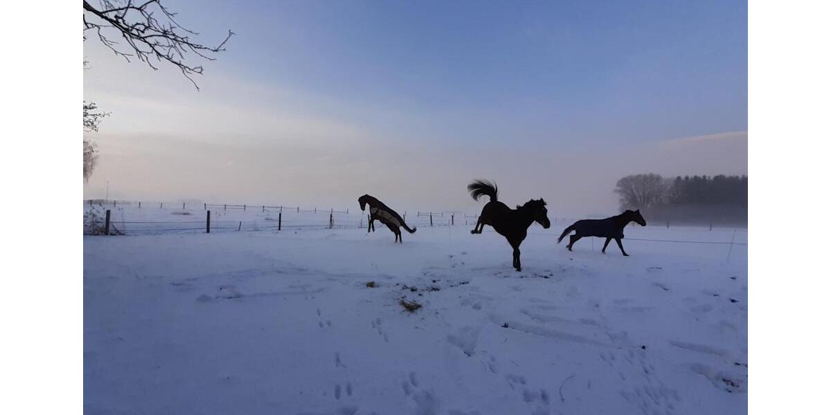 Bauernhaus, Landhaus Münchsmünster - 5 Zimmer, 160 m&sup2;, 1.820&euro; | Angebot:25958704