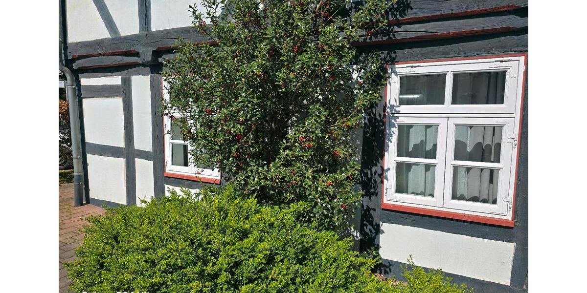 Erdgeschoßwohnung Börßum - 1 Zimmer, 38 m&sup2;, 450&euro; | Angebot:26282970