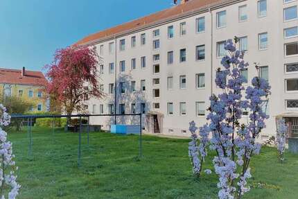 Wohnung Wurzen Altstadt - 2 Zimmer, 51 m&sup2;, 355&euro; | Angebot:26987574