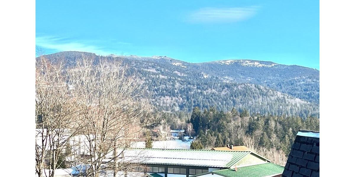 Etagenwohnung Neureichenau - 1.5 Zimmer, 35 m&sup2;, 349&euro; | Angebot:25841141