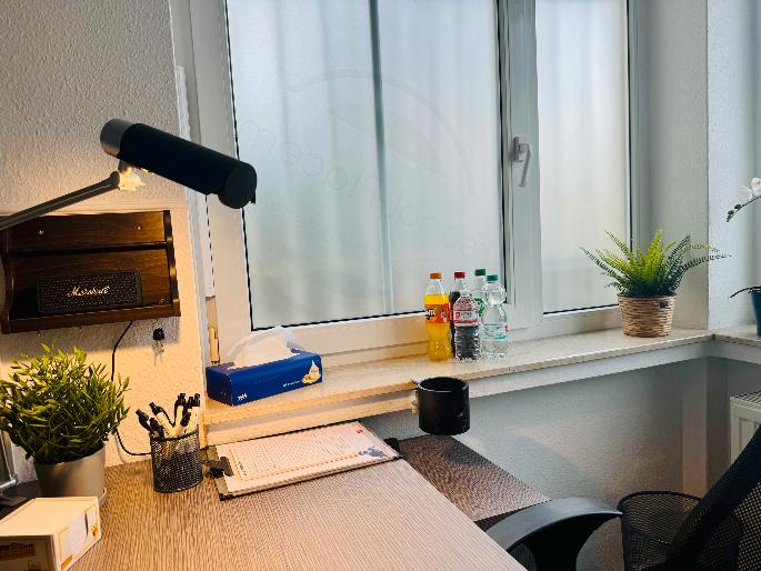 All-Inclusive Tages- oder Stundenbüro in Halle Saale – flexibel & möbliert zimmer