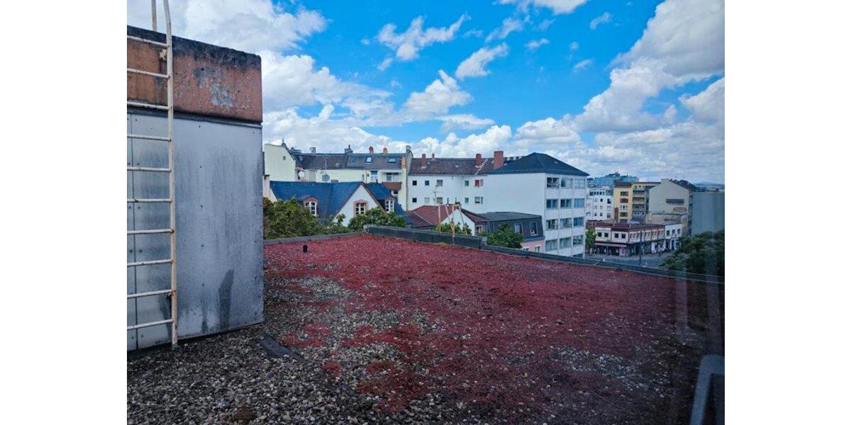 Etagenwohnung Mainz - 1 Zimmer, 25 m&sup2;, 590&euro; | Angebot:26015893