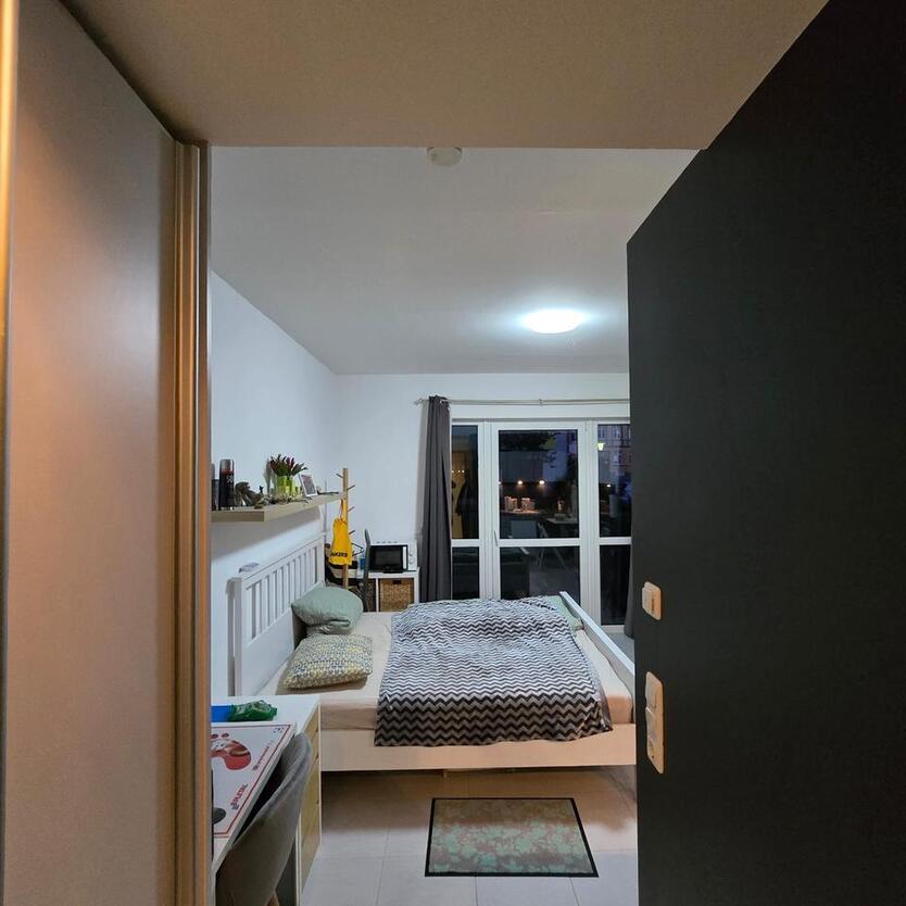 1 Raum Wohnung Greifswald