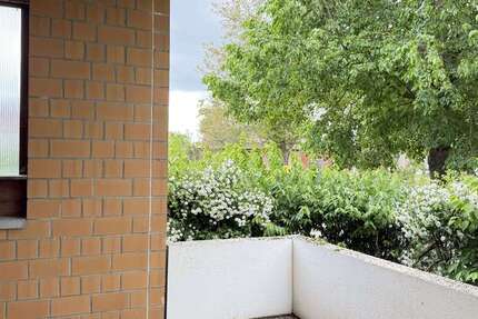 Wohnung Möringen Möringen - 3 Zimmer, 81 m&sup2;, 630&euro; | Angebot:26940374