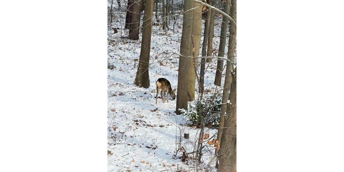 Wohnen auf Zeit Oranienburg - 2 Zimmer, 55 m&sup2;, 1.200&euro; | Angebot:22308005