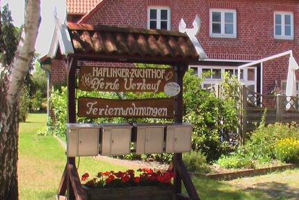 Wohnung Toppenstedt - 1 Zimmer, 15 m&sup2;, 486&euro; | Angebot:26261973