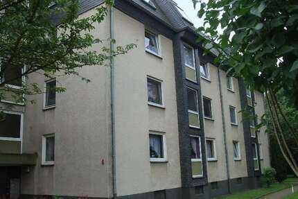 Wohnung Herne Röhlinghausen - 2 Zimmer, 60 m&sup2;, 344&euro; | Angebot:27244115