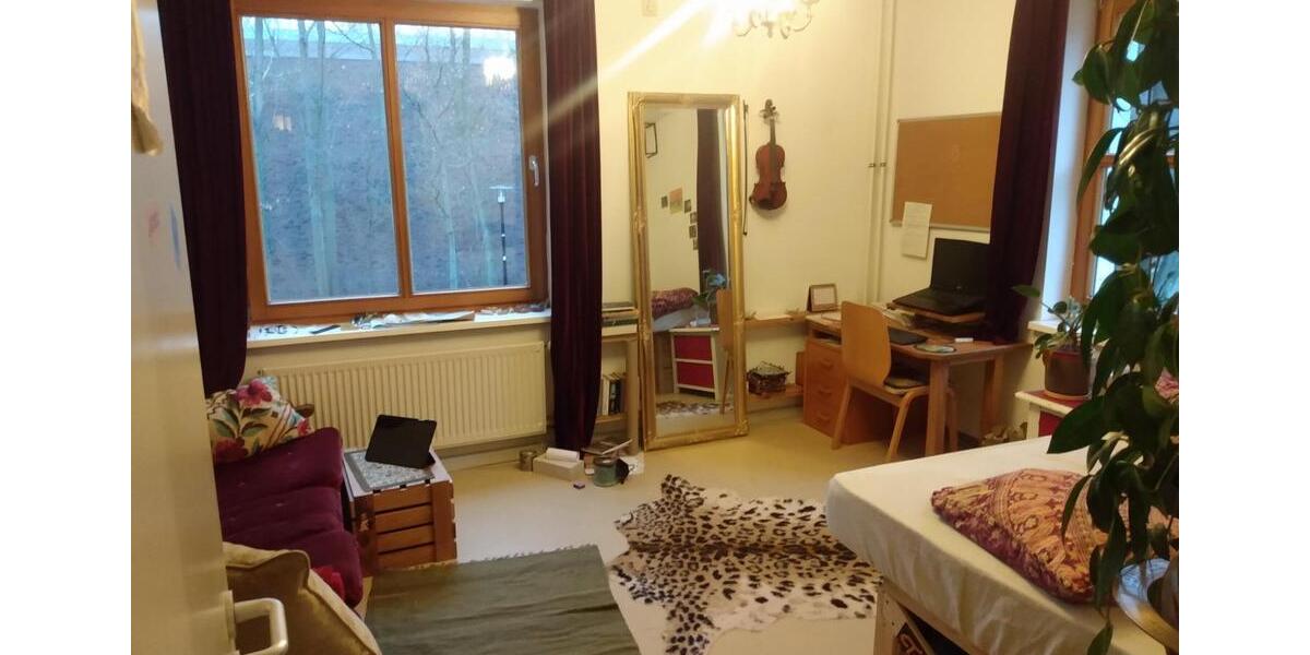 15.01.-31.05.26 Zimmer in 2er-Studi-WG Campus Griebnitzsee 1 zimmer