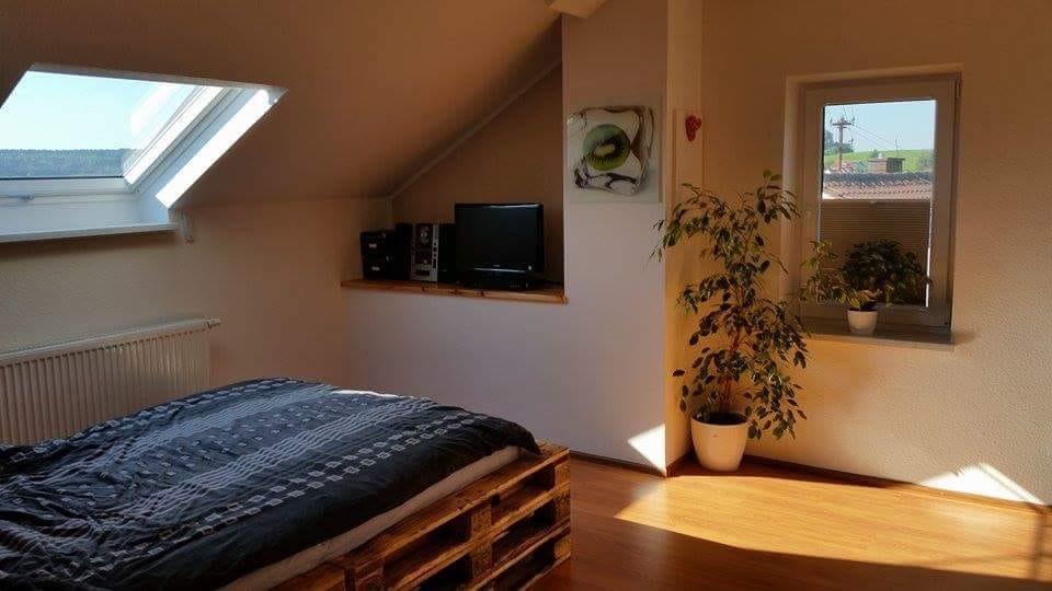 Dachgeschoßwohnung Hochdorf - 3 Zimmer, 70 m&sup2;, 600&euro; | Angebot:24742824