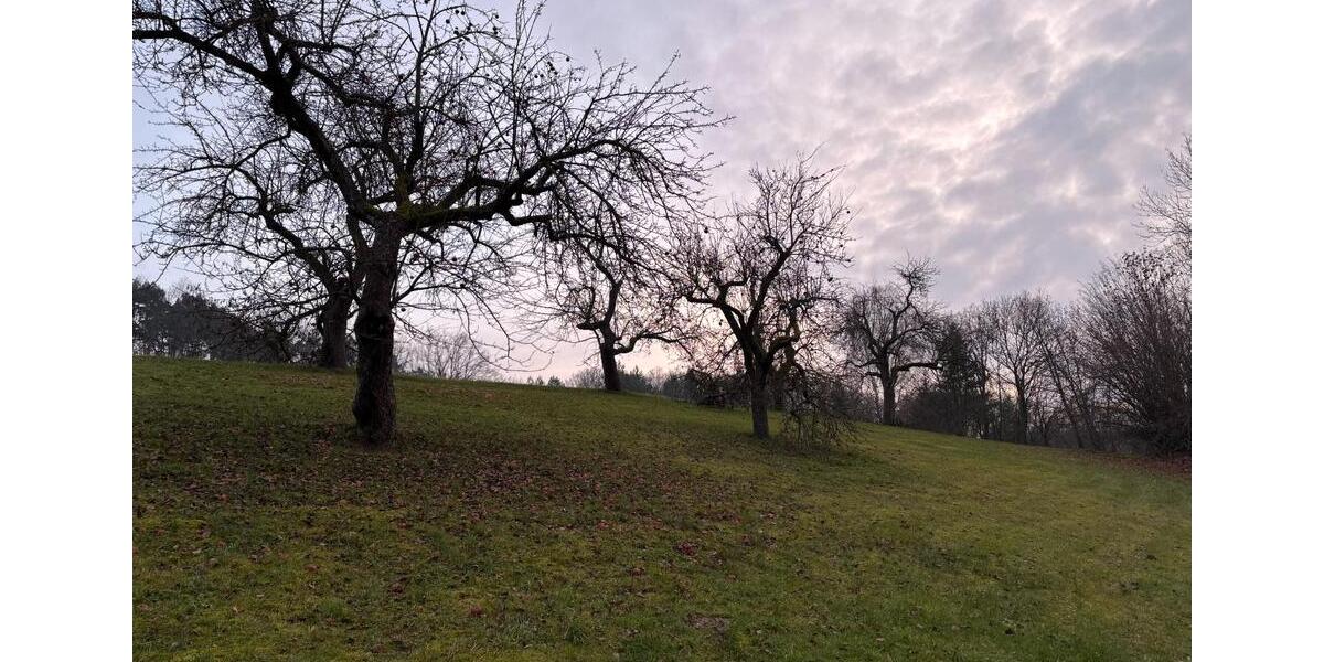 Bauernhaus, Landhaus Neuzelle - 7 Zimmer, 160 m&sup2;, 1.799&euro; | Angebot:26006320