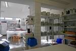 Gewerbeobjekt Auetal Rehren - 5 Zimmer, 20.000&euro; | Angebot:26260823