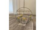Erdgeschoßwohnung Calbe (Saale) - 3 Zimmer, 60 m&sup2;, 480&euro; | Angebot:26365434
